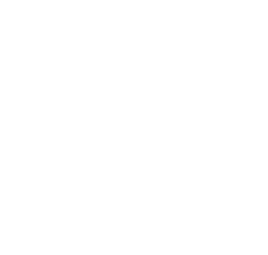 Emerson Alt Logo 2 White@2x